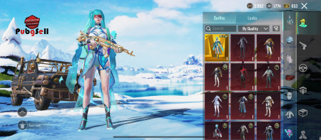 خرید و فروش اکانت پابجی موبایل