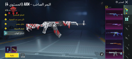 خرید و فروش اکانت پابجی موبایل