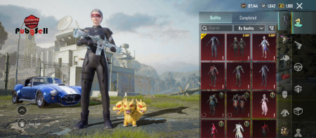 خرید و فروش اکانت پابجی موبایل