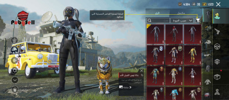 خرید و فروش اکانت پابجی موبایل