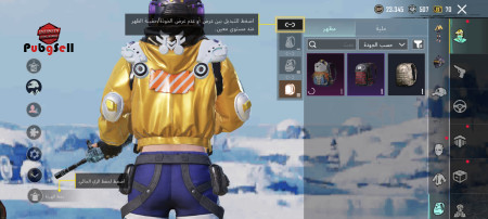 خرید و فروش اکانت پابجی موبایل