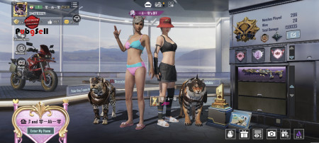 خرید و فروش اکانت پابجی موبایل