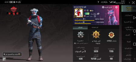 خرید و فروش اکانت پابجی موبایل