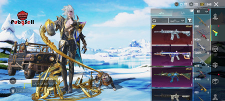 خرید و فروش اکانت پابجی موبایل