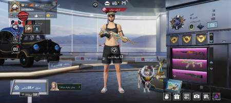 خرید و فروش اکانت پابجی موبایل