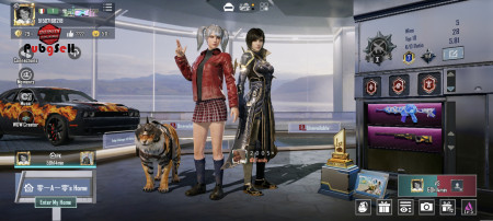 خرید و فروش اکانت پابجی موبایل