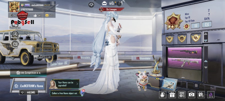 خرید و فروش اکانت پابجی موبایل