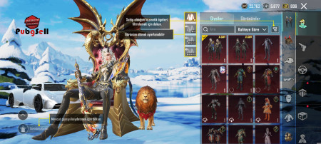 خرید و فروش اکانت پابجی موبایل