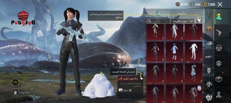 خرید و فروش اکانت پابجی موبایل