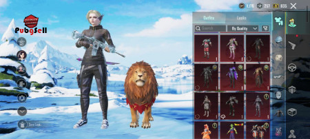 خرید و فروش اکانت پابجی موبایل