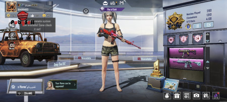 خرید و فروش اکانت پابجی موبایل