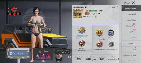 خرید و فروش اکانت پابجی موبایل