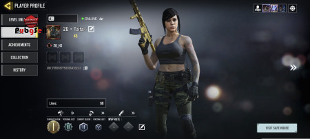 خرید و فروش اکانت پابجی موبایل