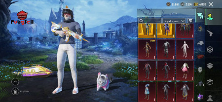 خرید و فروش اکانت پابجی موبایل