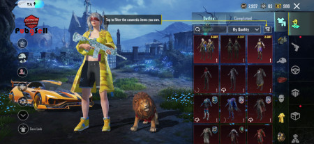 خرید و فروش اکانت پابجی موبایل