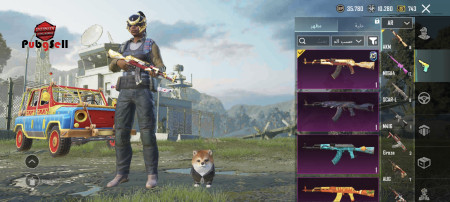 خرید و فروش اکانت پابجی موبایل