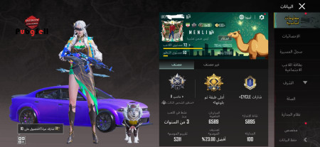 خرید و فروش اکانت پابجی موبایل