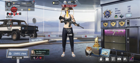 خرید و فروش اکانت پابجی موبایل