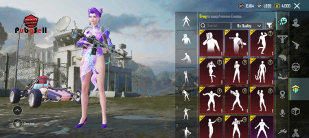 خرید و فروش اکانت پابجی موبایل