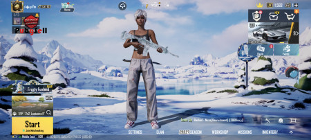 خرید و فروش اکانت پابجی موبایل