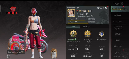 خرید و فروش اکانت پابجی موبایل