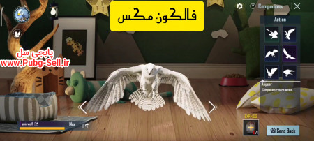 خرید و فروش اکانت پابجی موبایل