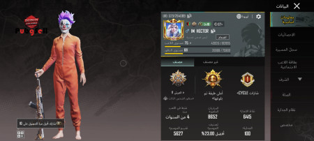 خرید و فروش اکانت پابجی موبایل
