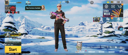 خرید و فروش اکانت پابجی موبایل