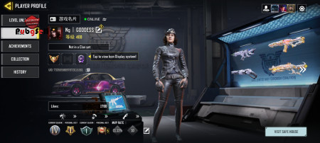 خرید و فروش اکانت پابجی موبایل