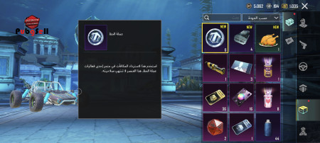 خرید و فروش اکانت پابجی موبایل