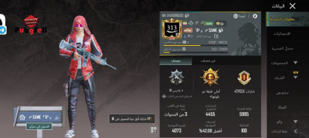 خرید و فروش اکانت پابجی موبایل