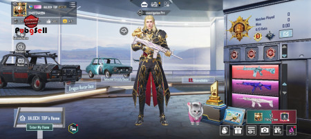 خرید و فروش اکانت پابجی موبایل