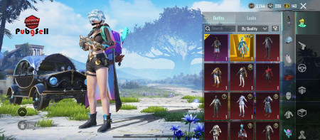 خرید و فروش اکانت پابجی موبایل